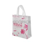 Picture of Flexo Printed Non Woven Pharmacy Bag